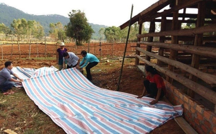  Phòng chống dịch bệnh cho vật nuôi vào mùa mưa bão